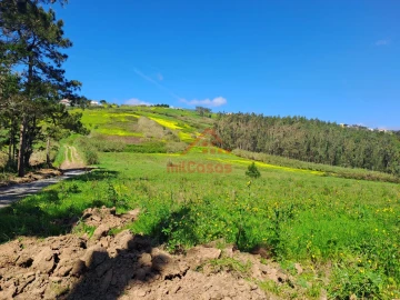 Terreno Agricola ou Rústico para Venda em Lourinhã e Atalaia