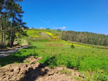 Terreno Agricola ou Rústico para Venda em Lourinhã e Atalaia