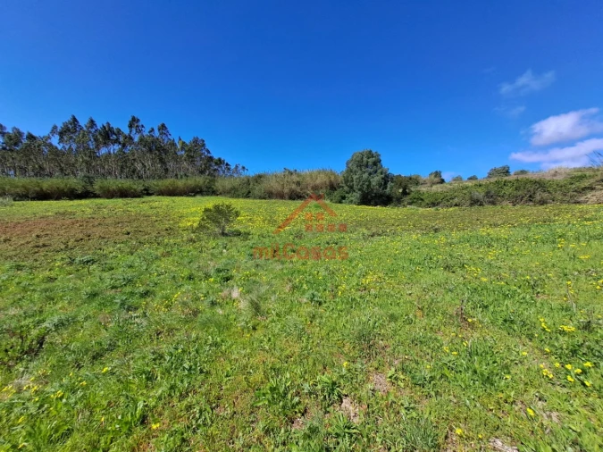 Terreno Agricola ou Rústico para Venda em Lourinhã e Atalaia Foto 2