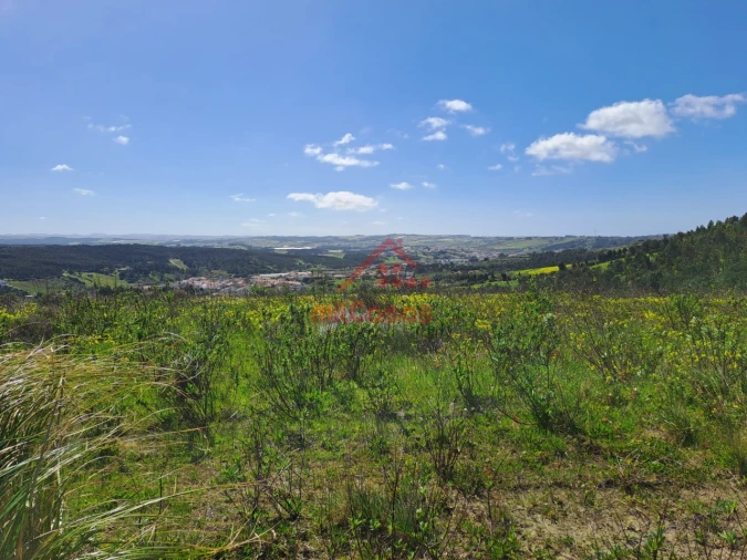 Terreno Agricola ou Rústico para Venda em Lourinhã e Atalaia Foto 5