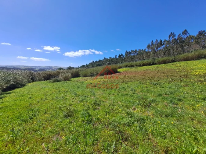 Terreno Agricola ou Rústico para Venda em Lourinhã e Atalaia Foto 7