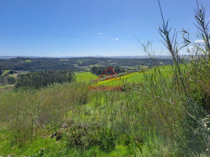 Terreno Agricola ou Rústico para Venda em Lourinhã e Atalaia Foto 11
