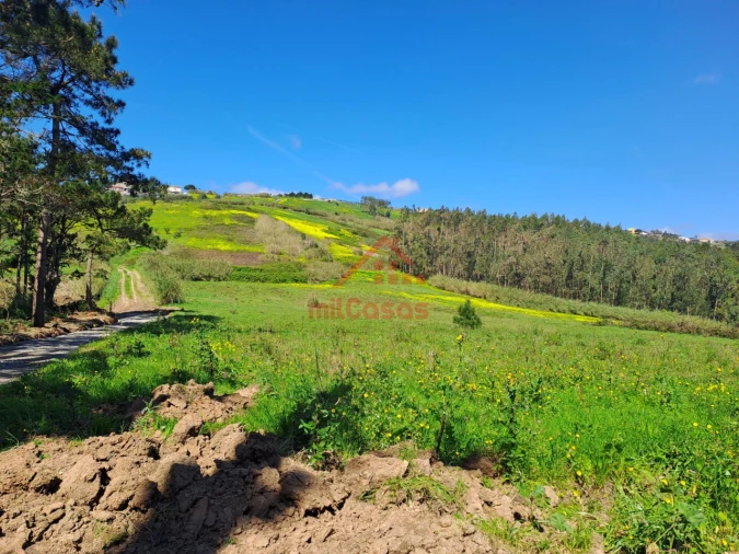 Terreno Agricola ou Rústico para Venda em Lourinhã e Atalaia Foto 12