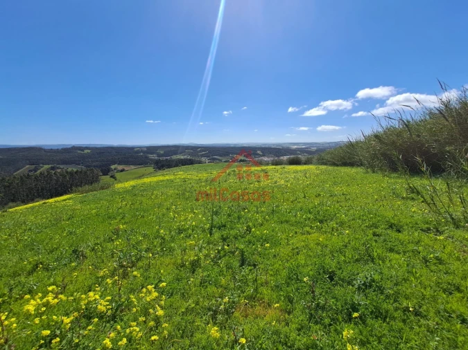 Terreno Agricola ou Rústico para Venda em Lourinhã e Atalaia Foto 15