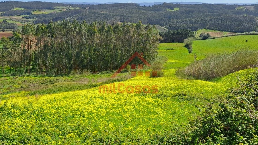 Terreno Agricola ou Rústico para Venda em Lourinhã e Atalaia