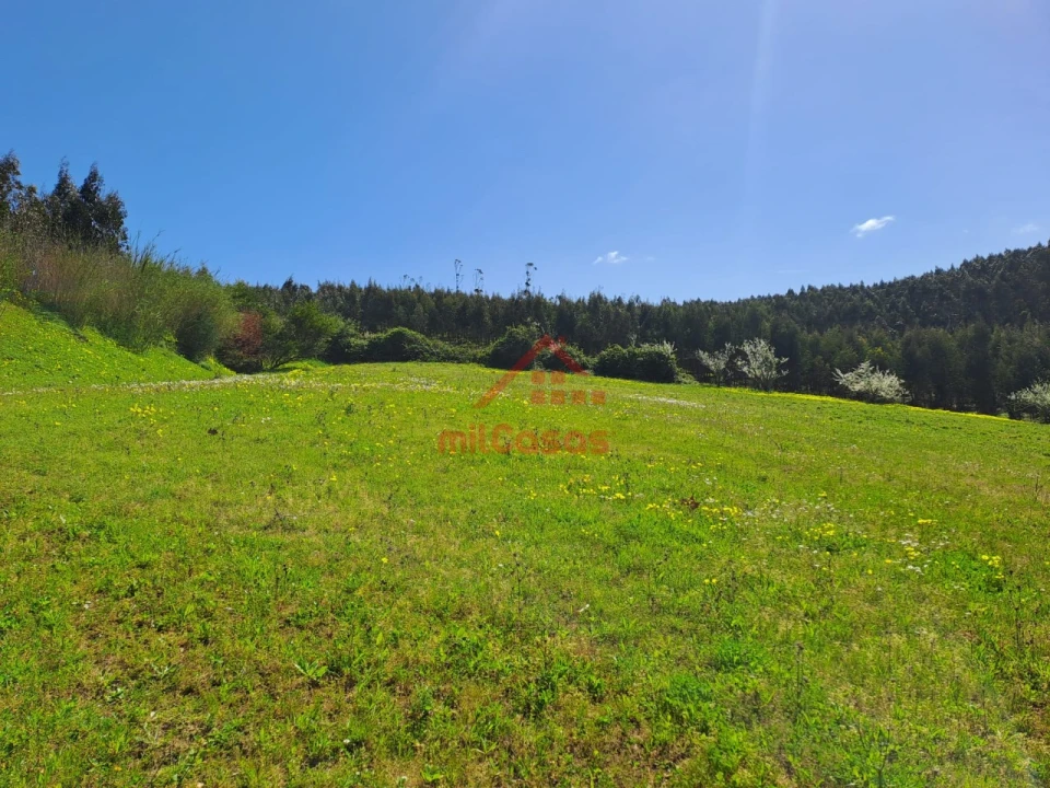 Terreno para Venda em Vimeiro Foto 7