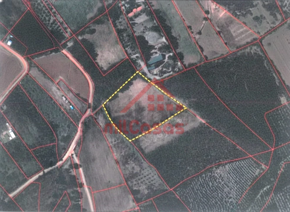 Terreno para Venda em Vimeiro Foto 15