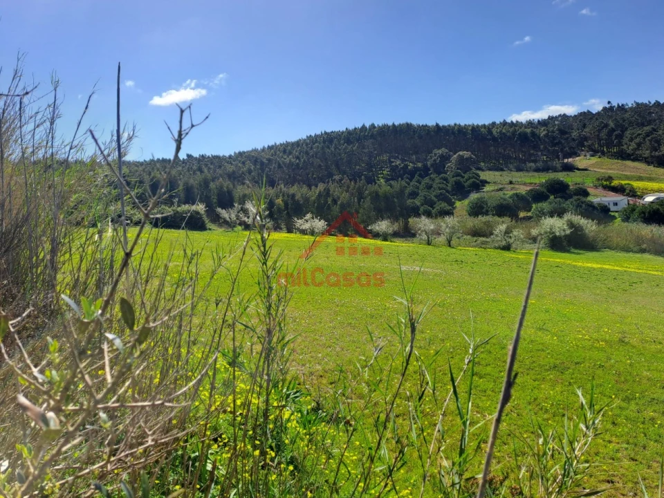 Terreno para Venda em Vimeiro Foto 14