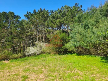 Terreno para Venda em Vimeiro