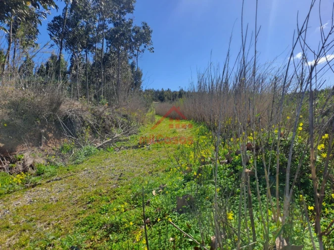 Terreno para Venda em Vimeiro Foto 11