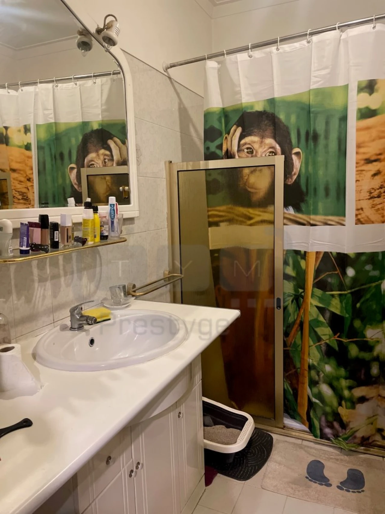 Apartamento T3 para Venda em São João Baptista e Santa Maria dos Olivais Foto 12