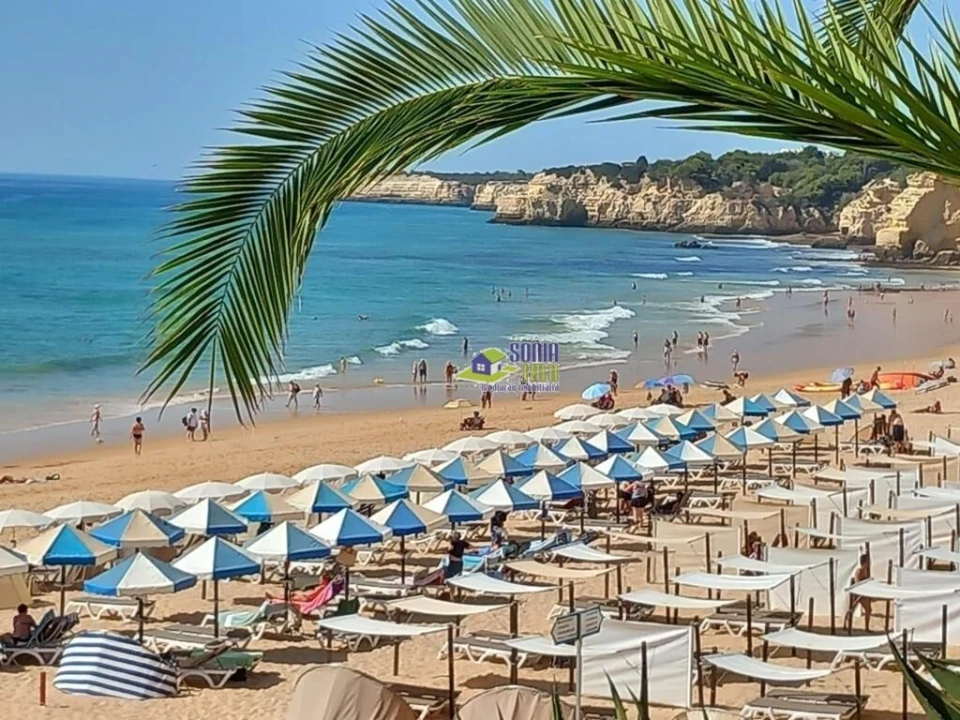 Negócio para Venda em Armação de Pera Foto 16