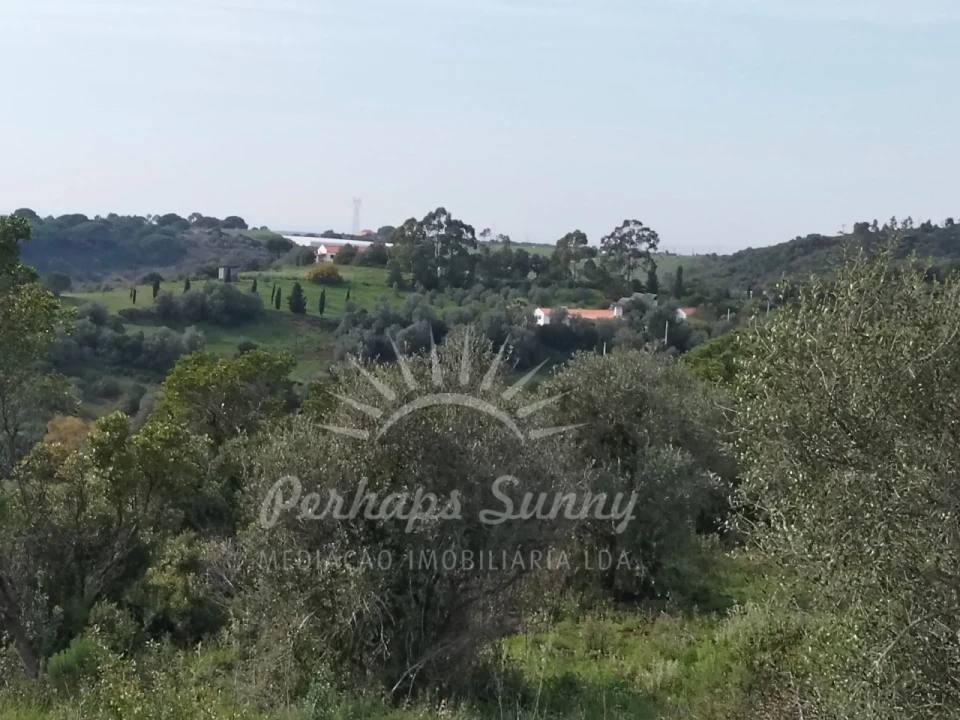 Terreno Agricola ou Rústico para Venda em Santiago do Cacém, Santa Cruz e São Bartolomeu da Serra Foto 1