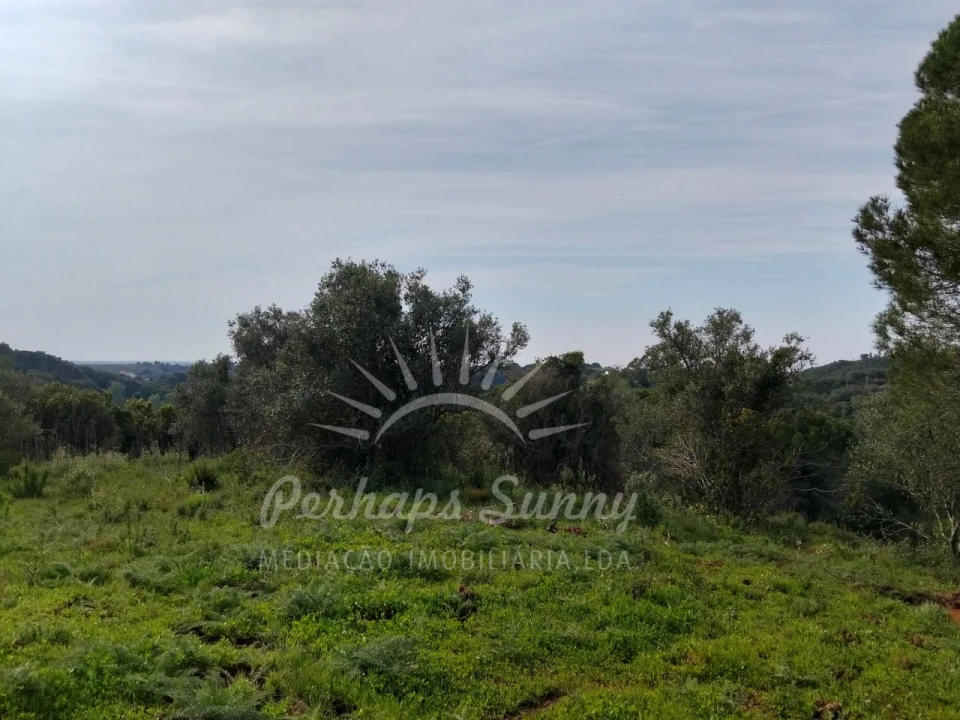 Terreno Agricola ou Rústico para Venda em Santiago do Cacém, Santa Cruz e São Bartolomeu da Serra Foto 10