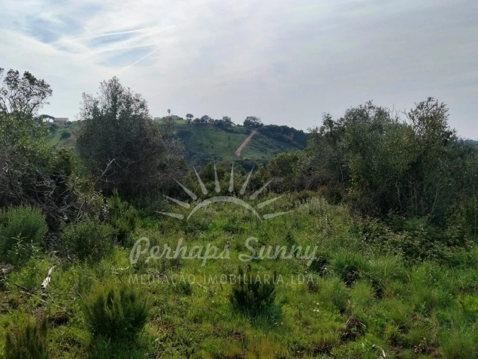Terreno Agricola ou Rústico para Venda em Santiago do Cacém, Santa Cruz e São Bartolomeu da Serra Foto 12
