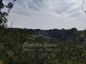 Terreno Agricola ou Rústico para Venda em Santiago do Cacém, Santa Cruz e São Bartolomeu da Serra