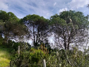 Terreno Agricola ou Rústico para Venda em Santiago do Cacém, Santa Cruz e São Bartolomeu da Serra