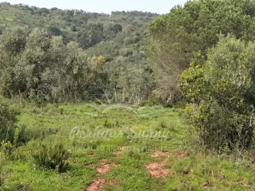Terreno Agricola ou Rústico para Venda em Santiago do Cacém, Santa Cruz e São Bartolomeu da Serra