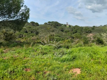 Terreno Agricola ou Rústico para Venda em Santiago do Cacém, Santa Cruz e São Bartolomeu da Serra