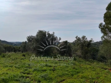 Terreno Agricola ou Rústico para Venda em Santiago do Cacém, Santa Cruz e São Bartolomeu da Serra