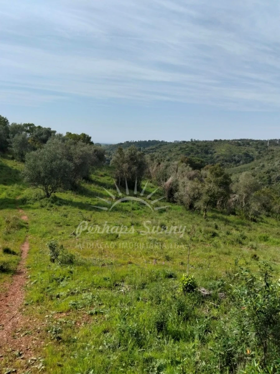 Terreno Agricola ou Rústico para Venda em Santiago do Cacém, Santa Cruz e São Bartolomeu da Serra Foto 7