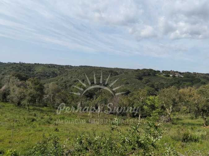 Terreno Agricola ou Rústico para Venda em Santiago do Cacém, Santa Cruz e São Bartolomeu da Serra Foto 5