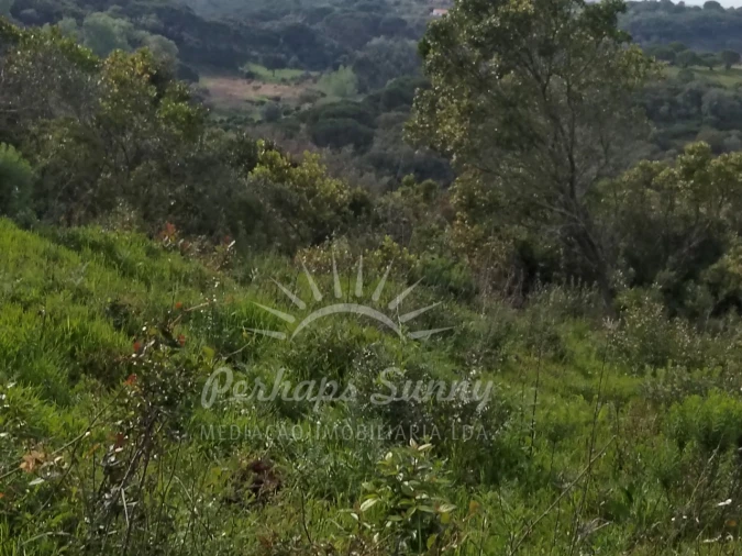 Terreno Agricola ou Rústico para Venda em Santiago do Cacém, Santa Cruz e São Bartolomeu da Serra Foto 6