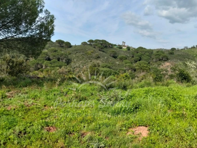 Terreno Agricola ou Rústico para Venda em Santiago do Cacém, Santa Cruz e São Bartolomeu da Serra Foto 4