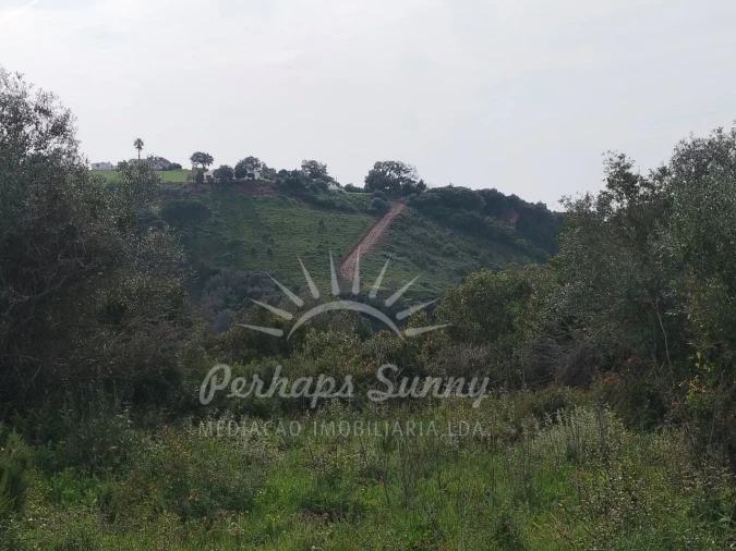Terreno Agricola ou Rústico para Venda em Santiago do Cacém, Santa Cruz e São Bartolomeu da Serra Foto 14