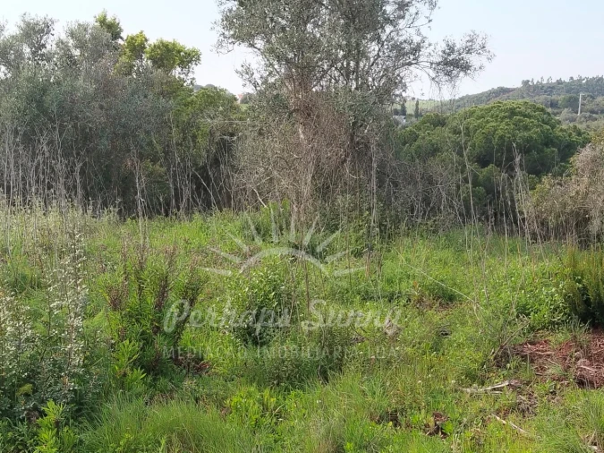 Terreno Agricola ou Rústico para Venda em Santiago do Cacém, Santa Cruz e São Bartolomeu da Serra Foto 15