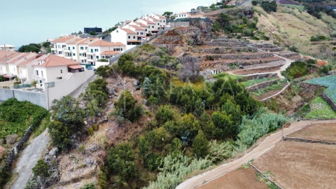 Terreno para Venda em Caniço