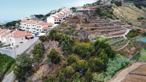 Terreno para Venda em Caniço
