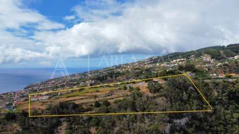 Terreno para Venda em Santa Cruz