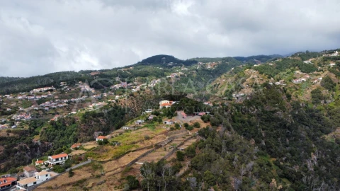 Terreno para Venda em Santa Cruz