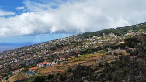Terreno para Venda em Santa Cruz