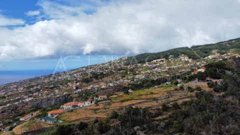 Terreno para Venda em Santa Cruz