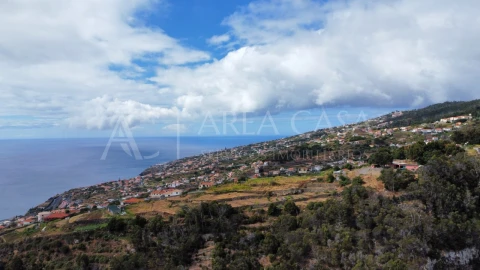 Terreno para Venda em Santa Cruz