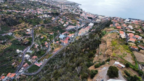 Terreno para Venda em Santa Cruz