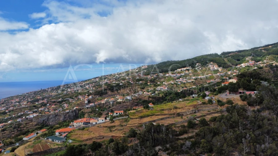 Terreno para Venda em Santa Cruz Foto 6