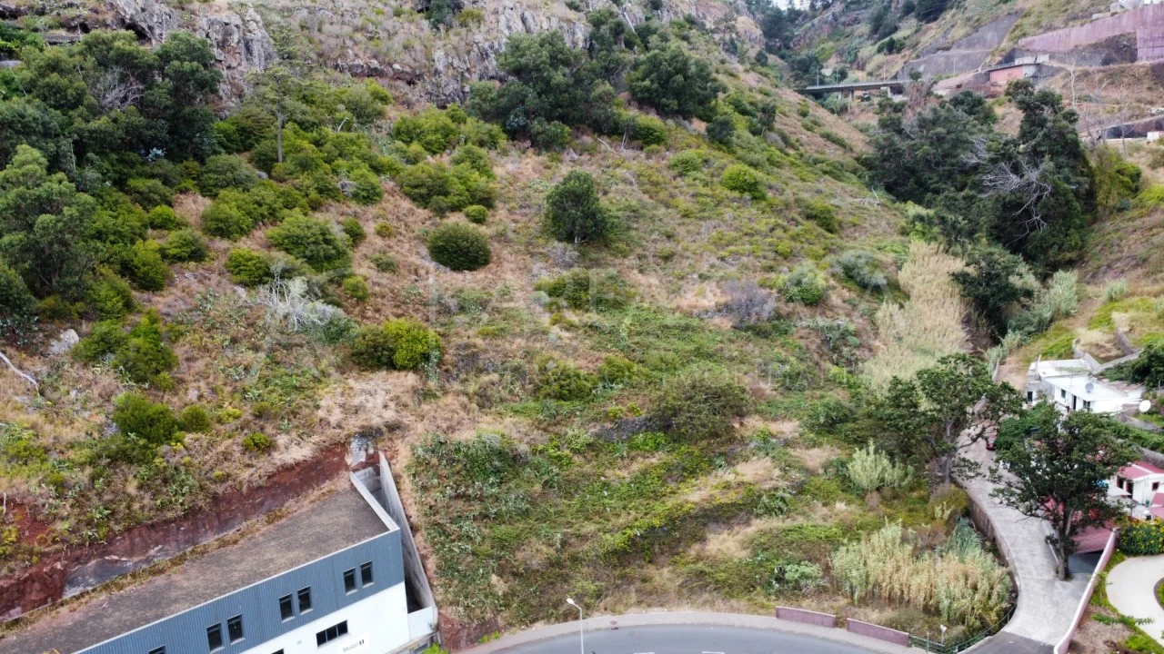 Terreno para Venda em Caniço Foto 3