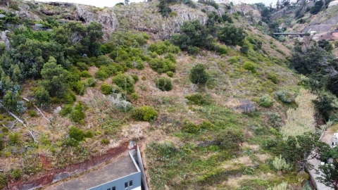 Terreno para Venda em Caniço