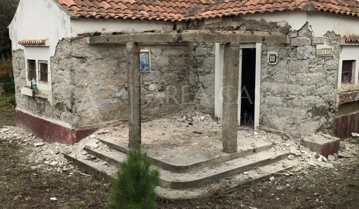 Terreno para Venda em Porto Santo Foto 14