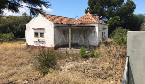 Terreno para Venda em Porto Santo