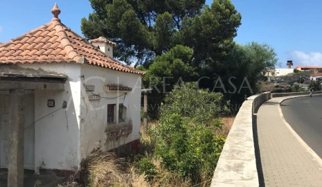 Terreno para Venda em Porto Santo