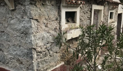 Terreno para Venda em Porto Santo