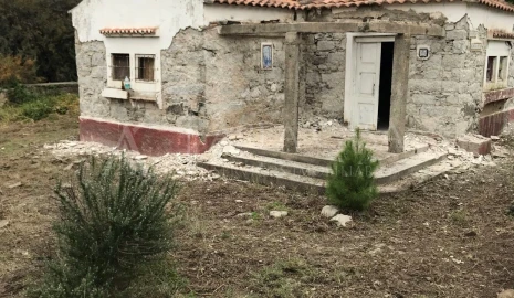 Terreno para Venda em Porto Santo
