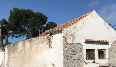 Terreno para Venda em Porto Santo