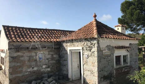 Terreno para Venda em Porto Santo