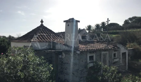 Terreno para Venda em Porto Santo