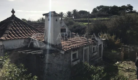 Terreno para Venda em Porto Santo
